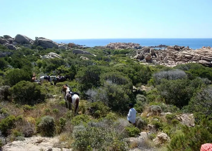 Charmante Maison A Avec Piscine Partagee * Olmeto (Corsica)